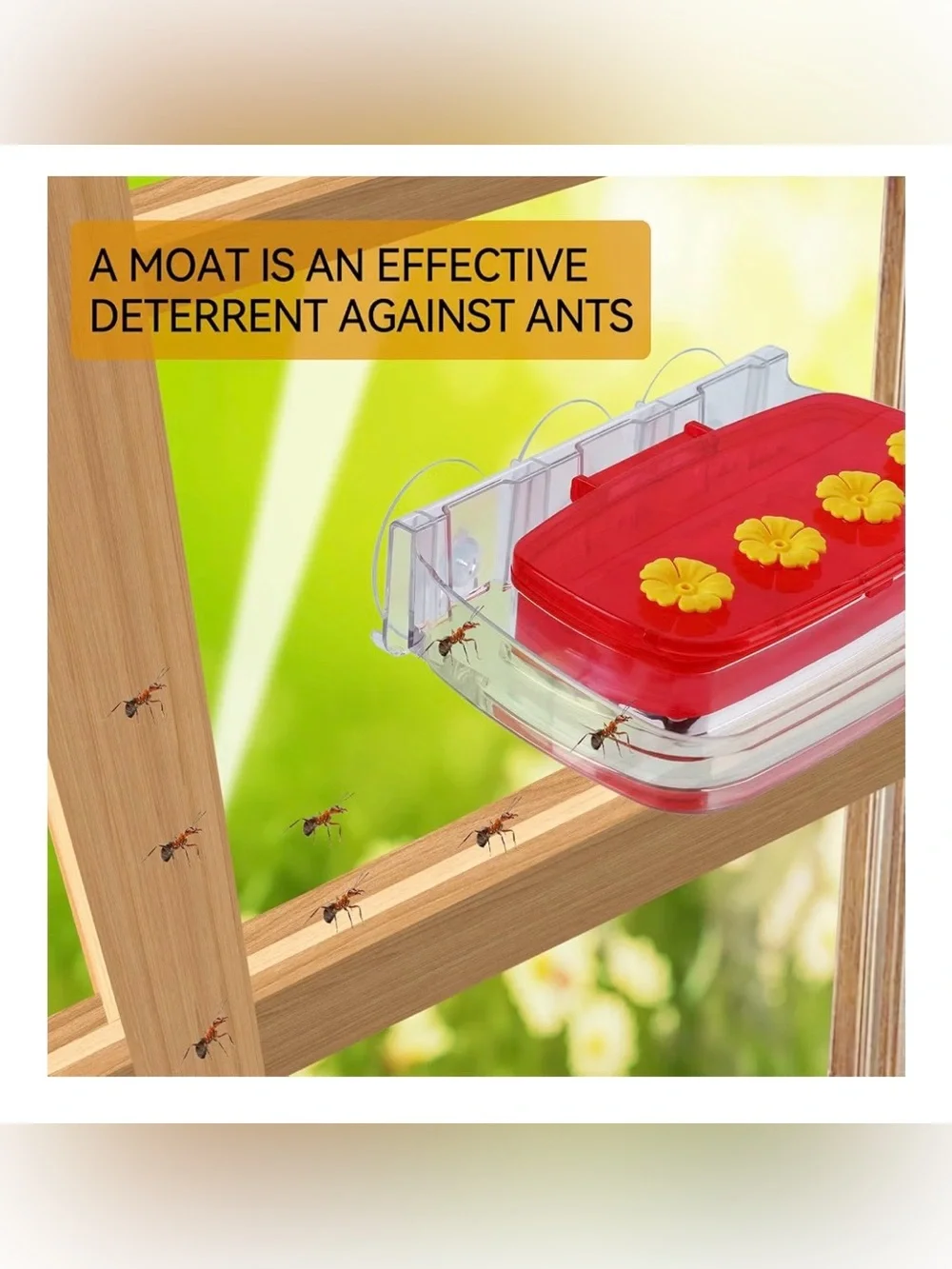 Window Hummingbird Feeder with Strong Suction Cups